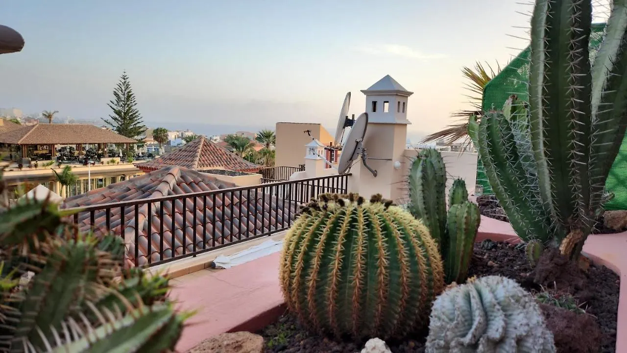 Eden Rentals Duke Ocean Views With Ac Costa Adeje